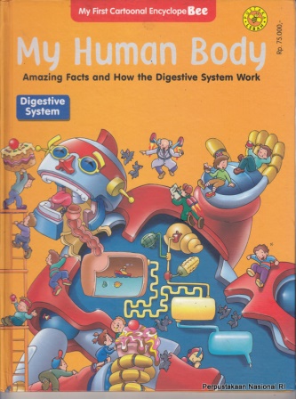 My Human Body : Amazing fact and how the digestive system work (Digestive System Works)