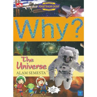 WHY : The Universe